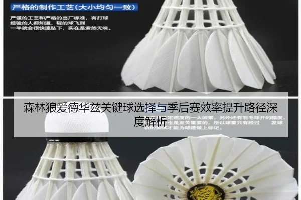 sen-lin-lang-ai-de-hua-zi-guan-jian-qiu-xuan-ze-yu-ji-hou-sai-xiao-lv-ti-sheng-lu-jing-shen-du-jie-xi-2-200.jpg